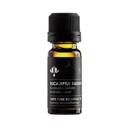 Essential Oil - Eucalyptus Radiata Oil (Eucalyptus Radiata)